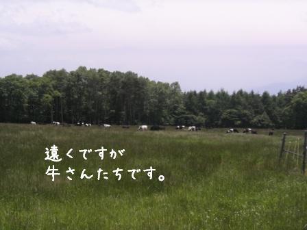 f0068501_2318189.jpg