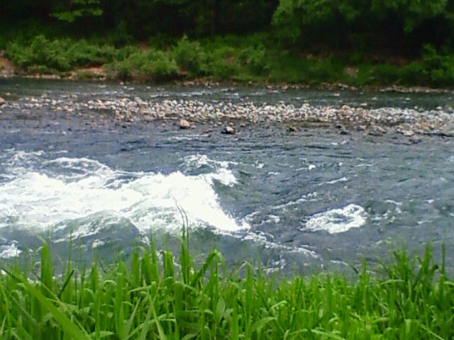 f0164003_21492957.jpg
