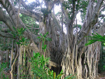 b0083405_17165663.jpg