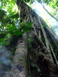 b0083405_19165767.jpg