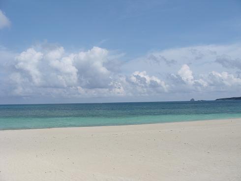 e0123808_029396.jpg