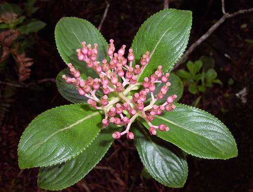 c0127909_9324090.jpg