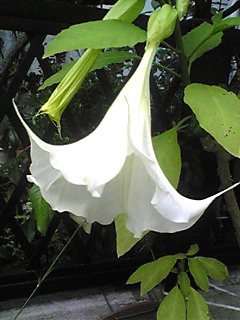 a0101715_2112508.jpg