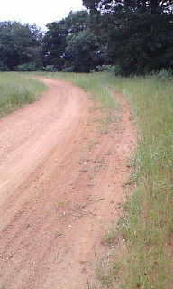 e0128816_21125385.jpg