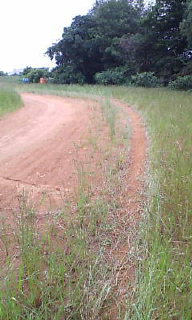 e0128816_2113979.jpg