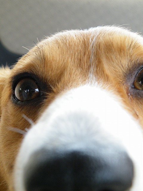 c0127617_15472418.jpg