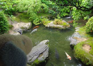 c0148623_23213535.jpg