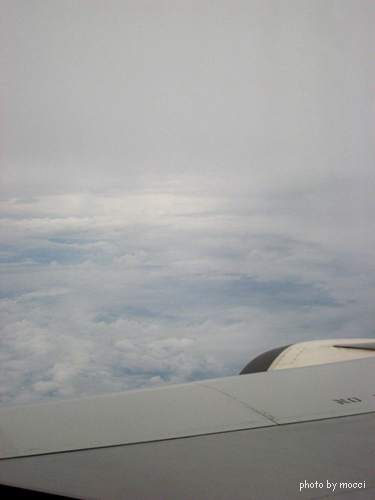 d0131523_20534520.jpg
