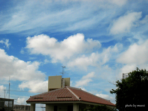d0131523_2153510.jpg