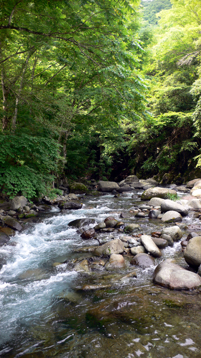 f0060424_2123234.jpg