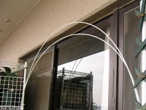 b0031925_13322422.jpg
