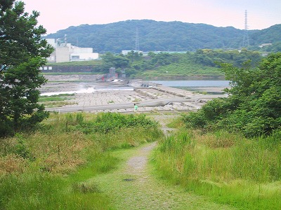 c0031126_0152955.jpg