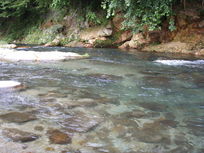 f0103126_20351133.jpg