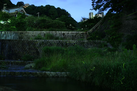 f0177529_1236550.jpg