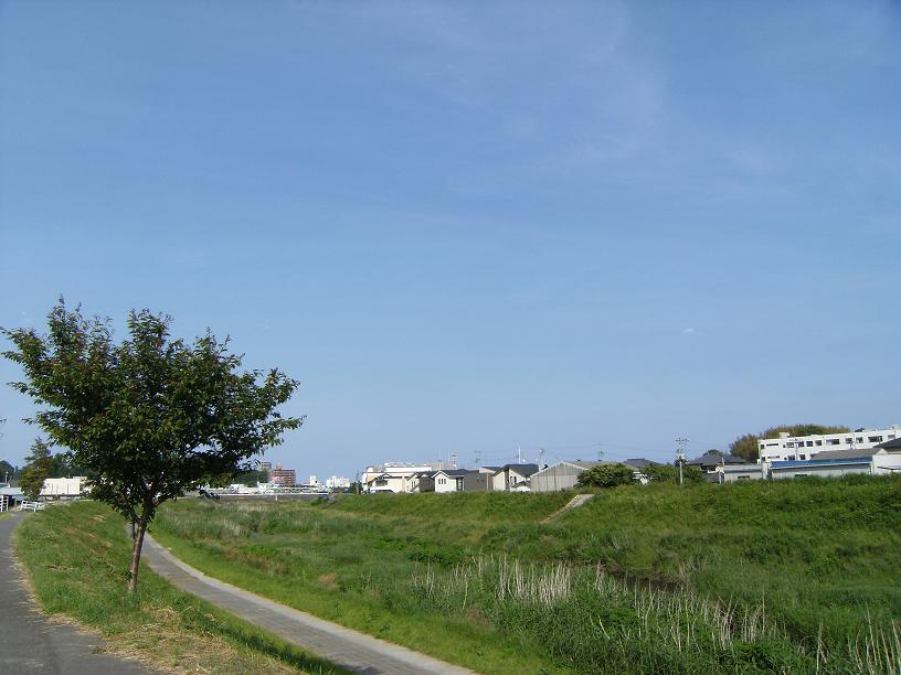 e0137130_1782594.jpg