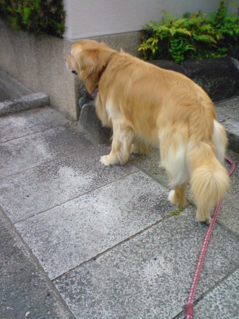 b0127531_20423097.jpg