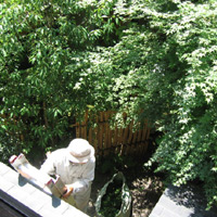 d0033734_18475348.jpg