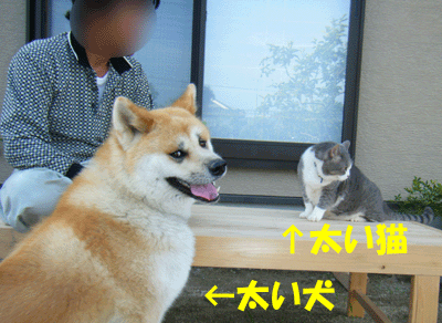 f0008935_15512840.gif