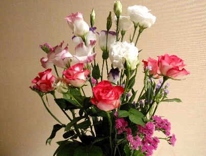 d0093936_1583511.jpg