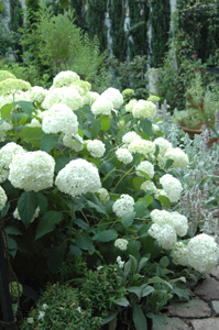 f0029536_18592640.jpg