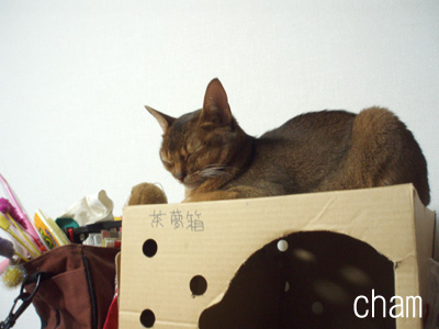 c0132438_222431.jpg