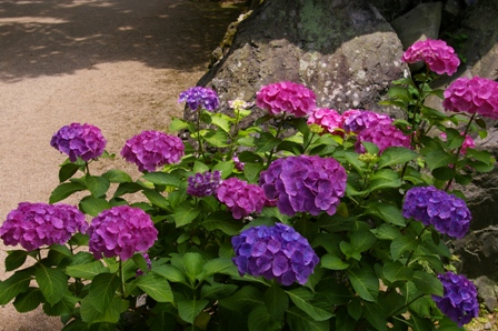e0086642_2238496.jpg