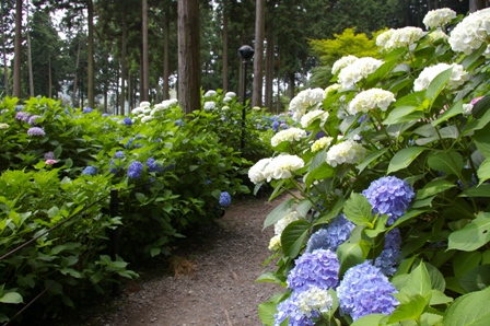 e0086642_22392332.jpg
