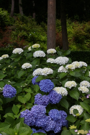 e0086642_22393479.jpg