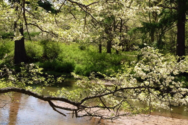 e0009147_17332753.jpg