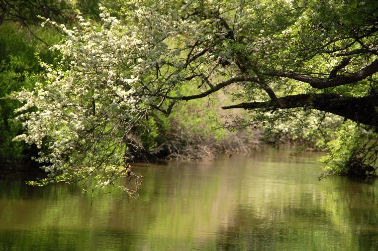 e0009147_17345416.jpg