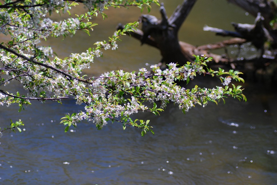 e0009147_17361645.jpg
