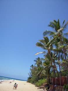 e0046348_2203927.jpg