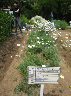 c0145449_21441666.jpg