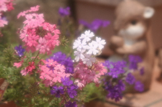 d0013149_838351.jpg