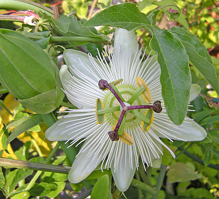 a0001354_2226727.jpg