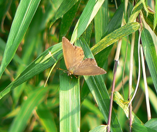 d0091754_12371273.jpg