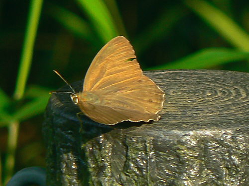 d0091754_12372645.jpg