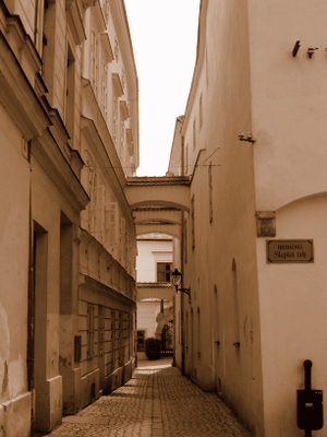 a0073357_1628387.jpg