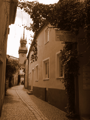 a0073357_16301713.jpg