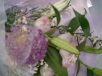 a0085663_23183419.jpg