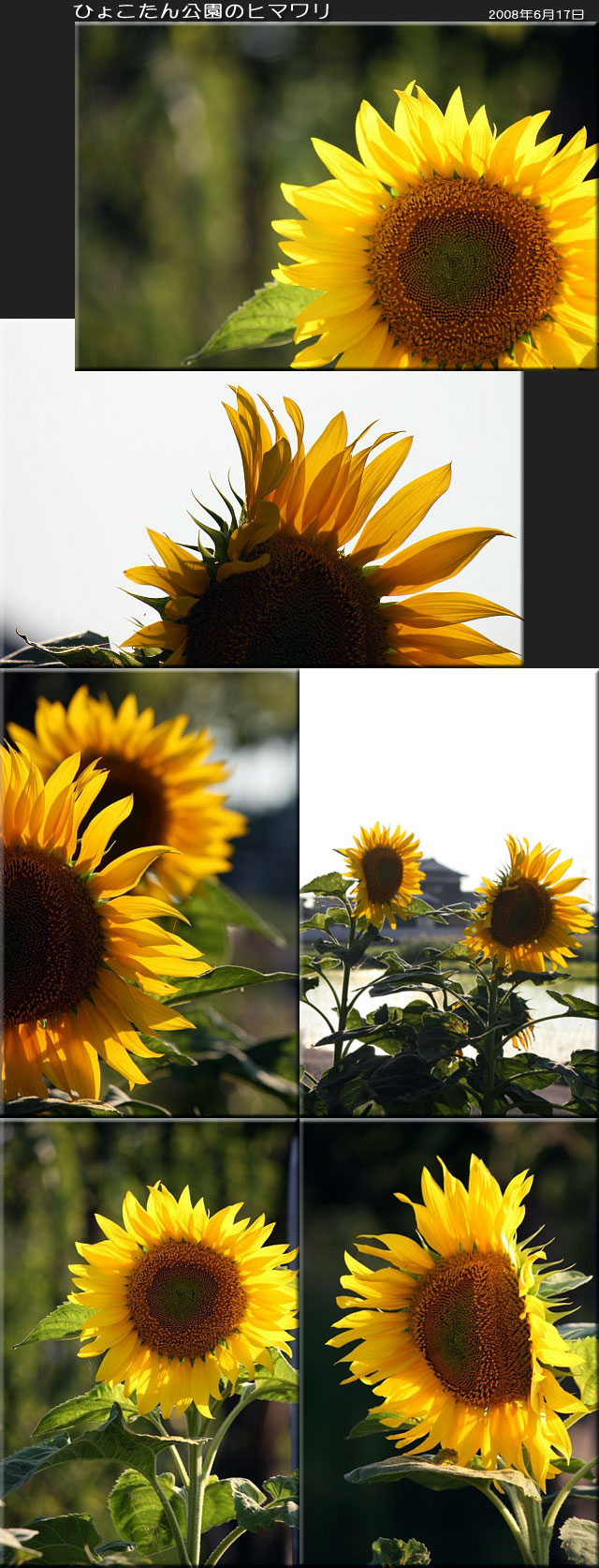 f0104569_137475.jpg