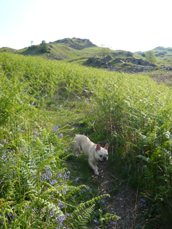 d0041074_125171.jpg