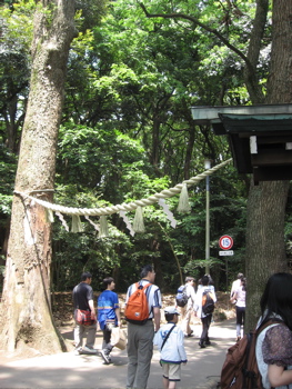 d0045179_06714.jpg