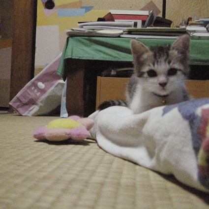 c0107180_2159372.jpg