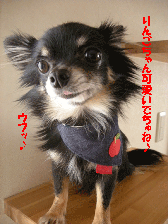 e0066883_20384926.gif