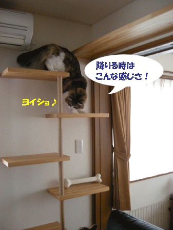 e0066883_20492141.gif