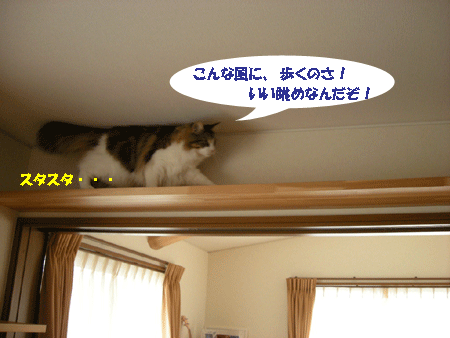 e0066883_20494533.gif