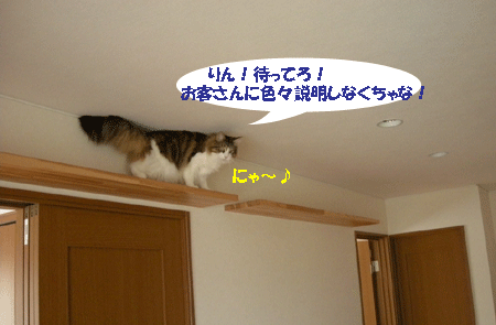 e0066883_20502278.gif