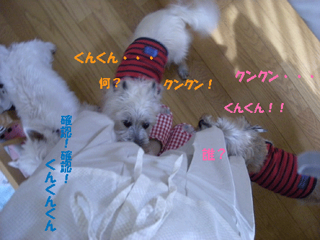 e0066883_211143.gif