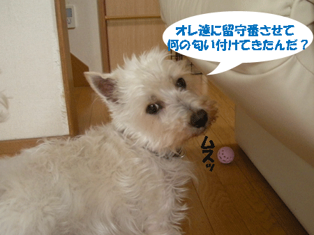 e0066883_2113510.gif